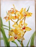 ORQUIDEA AMARELA