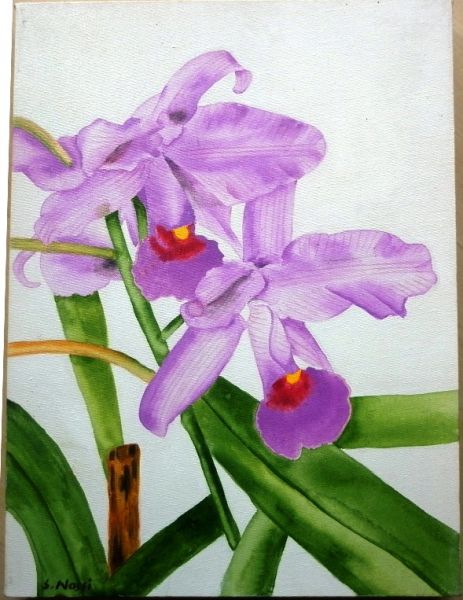 ORQUIDEA LILAS
